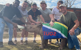 Bokke, All Blacks and orphaned baby rhinos: what the internet needs to see today