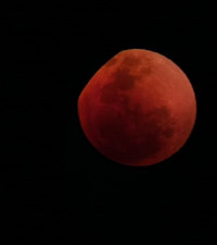 [IN PICS] Super Flower Blood Moon makes appearance in SA sky