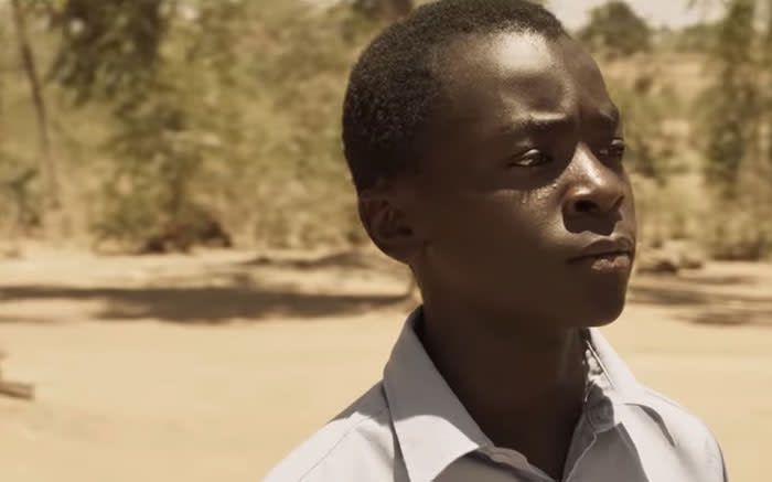 Netflix film tells tale of Malawian eco boy genius