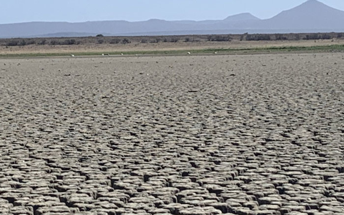 Drought-hit farmers in EC urge govt to do more to help them - EWN
