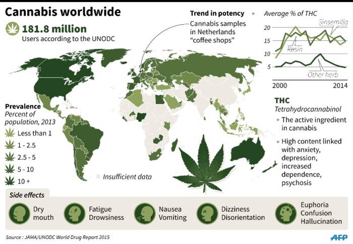 Countries With The Highest Marijuana Use