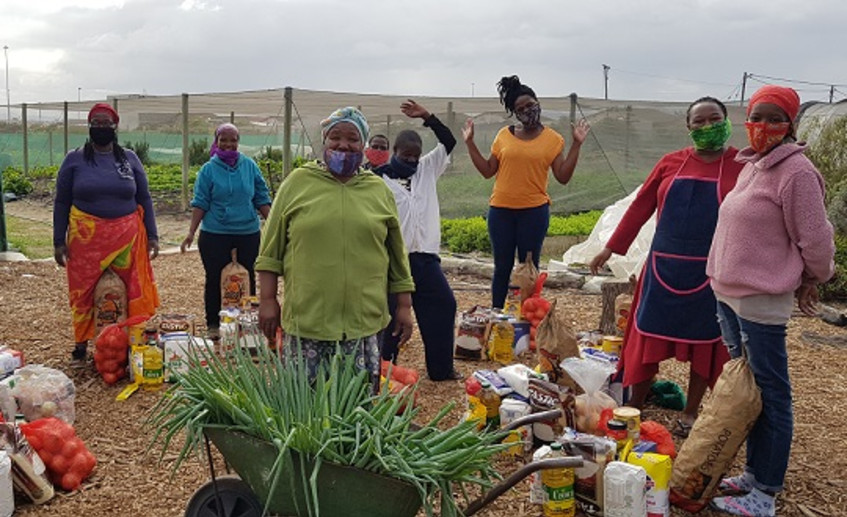 Dis-Chem Foundation donates R75k to help Khayelitsha community food garden grow