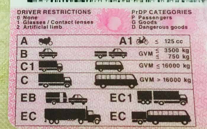 South african drivers licence codes