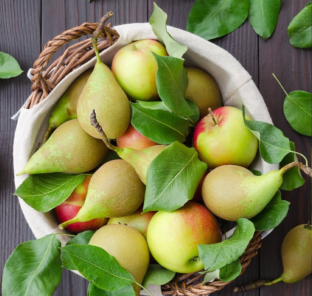 5 Benefits Of Apples And Pears That Will Make You Feel Great