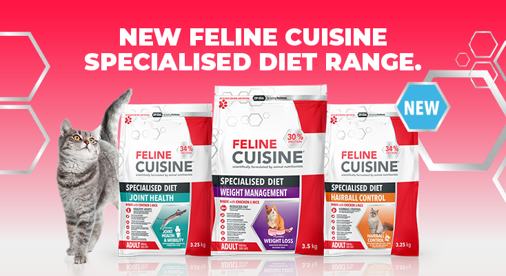 Win a R5 000 Feline Cuisine Specialised Diet Hamper for your kitty 