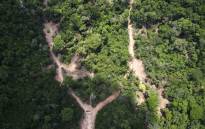 FILE: View of an illegal felling area in the Amazon jungle during an overflight by Greenpeace activists over areas of illegal exploitation of timber. Picture: AFP