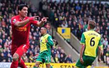 Liverpool’s Uruguayan striker Luis Suarez (L) celebrates scoring a goal during the English Premier League football match between Norwich City and Liverpool at Carrow Road in Norwich on April 20, 2014. Picture: AFP.