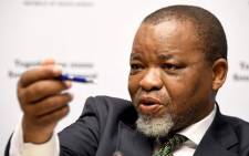 Mineral Resources and Energy Minister Gwede Mantashe. Picture: @GwedeMantashe1/Twitter