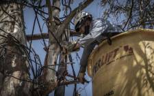 Eskom technicians remove illegal electricity connections in Diepsloot on 29 September 2020. Picture: Abigail Javier/EWN