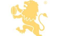 The Golden Lions Rugby Union logo. Picture: GLRU Facebook page