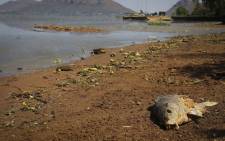 Hartbeespoort Dam has been affected by a sewage spill that originated from the Jukskei River in Gauteng. Picture: Christa Eybers/EWN.
