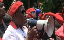 EFF leader Julius Malema says the party will contest the elections in all nine provinces. Picture: EWN. 