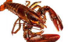 Lobster. Picture: Pixabay.com