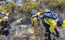Working on Fire crews extinguishing fires in the Western Cape. Picture: @wo_fire/Twitter
