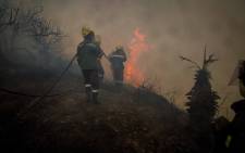 Firefighters keep flames from homes in Buffalo Bay, Knysna. Pictures: Thomas Holder/EWN
