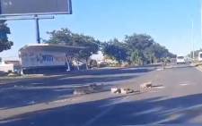 Rubble and rocks litter the Chris Hani Baragwanath Road after a protest in Soweto on 1 November 2021. Picture: Eyewitness News