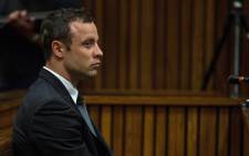 The man who will tie up two of Pistorius’s firearm-related charges has taken the stand. Picture: Pool.