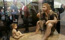 FILE: A picture taken 19 July 2004 shows visitors of the Museum for Prehistory in Eyzies-de-Tayac looking at a Neanderthal man ancestor's reconstruction. Picture: AFP.