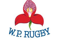 Western Province Rugby Logo.