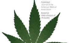 Graphic on the findings of a study looking into the evidence for medical marijuana. Picture: AFP.