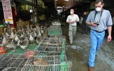 FILE: World Health Organisation officials inspect a wildlife animal market where selling civet cats in southern capital of Guangzhuo, 10 January 2004. Picture: AFP