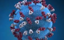 FILE: A 3D graphical representation of a spherical-shaped measles virus particle. Picture: CDC Public Health Image Library.