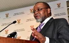 FILE: Mineral Resources Minister Gwede Mantashe. Picture: GCIS