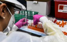 FILE: A lab technician sorts blood samples inside a lab for a COVID-19 vaccine study at the Research Centers of America in Hollywood, Florida, on 13 August 2020. Picture: AFP.