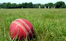 Cricket ball. Picture: sxc.hu