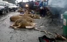 FILE. The SPCA has called for the closing down of a slaughter house in Sithandathu Avenue over hygiene issues.