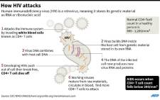 A graphic on how HIV attacks white blood cells in the human body. Picture: AFP