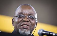 FILE: Mineral Resources Minister Gwede Mantashe. Picture: Thomas Holder/EWN.
