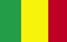 Mali flag. Picture: AFP