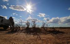 FILE: Farmers assess the damage caused by the drought in Reddersburg, Free State. Picture: Christa Eybers/EWN