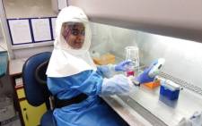 UWC post-doctoral research fellow, Dr Tasnim Suliman, is studying live SARS-CoV-2 (COVID-19) samples to better understand the virus’ behaviour when exposed to e.g. antibodies and antiviral drug candidates. Picture: Supplied.