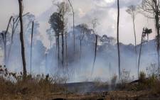 View of a burnt area after a fire in the Amazon rainforest near Novo Progresso, Para state, Brazil, on 25 August 2019 Brazil on Sunday deployed two C-130 Hercules aircraft to douse fires devouring parts of the Amazon rainforest, as hundreds of new blazes were ignited and a growing global outcry over the blazes sparks protests and threatens a huge trade deal. Picture: AFP