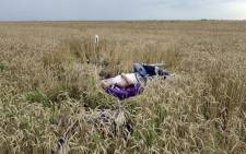 A body lies in a wheat field at the site of the crash of a Malaysia Airlines plane carrying 298 people from Amsterdam to Kuala Lumpur in Grabove, in rebel-held east Ukraine, on 19 July, 2014.