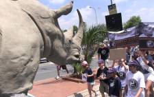 Hundreds of Johannesburg residents joined 133 other cities around the world in marching against the poaching of rhino and elephant on 4 October 2014 in Sandton. Picture: Reinart Toerien/EWN.