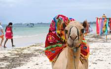 A camel pictured on a beach in Kenya. Picture: pixabay.com