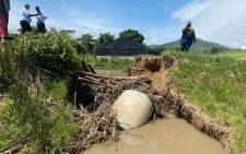 On Shazini Farm, farmers lost a bridge that connected their properties due to flooding. Picture: Nhlanhla Mabaso/EWN.