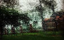 Rain. Picture: Katharyn Williams-Jaftha/EWN.
