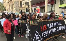 Farmworkers march to Parliament on 28 August 2019 to call for the ban of 67 pesticides. Picture: Kaylynn Palm/EWN