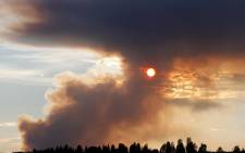 Fire burns in Karbole, Sweden, on 15 July, 2018. Due to the dry weather, many wildfires burned in Sweden. Picture: AFP