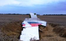 FILE:A picture taken on 17 July 2014 shows the wreckage of MH17 after it crashed near the town of Shaktarsk in rebel-held east Ukraine. Picture: AFP.