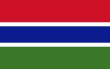 The Gambia flag. Picture: @BarrowPresident/Twitter