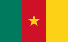 Cameroon flag. Picture: Wikimedia Commons.