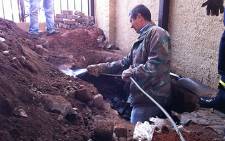 Forensic experts excavate Betty Ketani's grave. Picture: Alex Eliseev/EWN