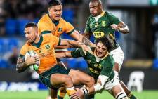 The Wallabies claimed a 28-26 win over the world champions, the Springboks, on the Gold Coast on 12 September 2021. Picture: @Springboks/Twitter.