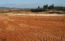 FILE. AgriSA says the current situation is largely due to a market demand that has been exacerbated by the current drought. Picture: Freeimages.com