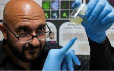 FILE: Stem cell scientist Jacob Hanna of Israel's Weizmann Institute of Science holds mouse 'synthetic embryos' grown in a lab. Picture: AFP